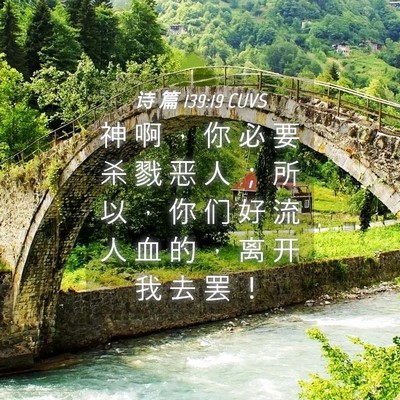 Picture 04 - 诗 篇 139:19 CUVS - 神 啊 ， 你 必 要 杀 戮 恶 人 ； 所 - Bible Verse Picture
