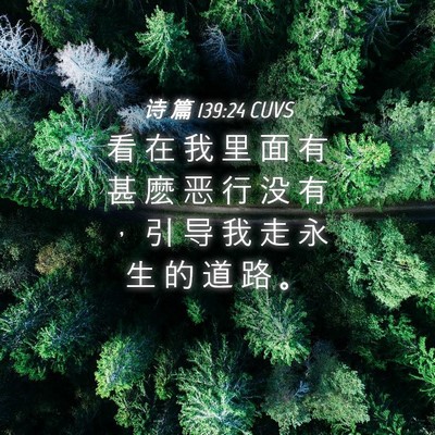Picture 04 - 诗 篇 139:24 CUVS - 看 在 我 里 面 有 甚 麽 恶 行 没 有 - Bible Verse Picture