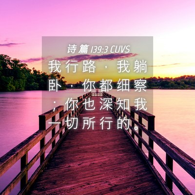 Picture 04 - 诗 篇 139:3 CUVS - 我 行 路 ， 我 躺 卧 ， 你 都 细 察 - Bible Verse Picture