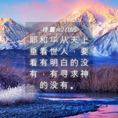 Picture 04 - 诗 篇 14:2 CUVS - 耶 和 华 从 天 上 垂 看 世 人 ， 要 - Bible Verse Picture