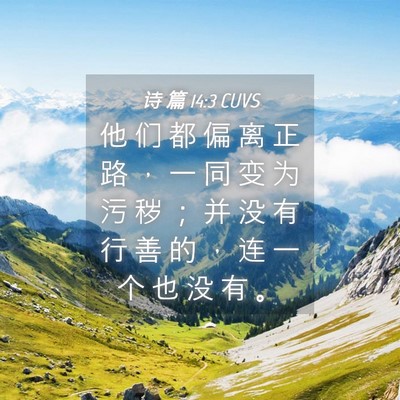 Picture 04 - 诗 篇 14:3 CUVS - 他 们 都 偏 离 正 路 ， 一 同 变 为 - Bible Verse Picture