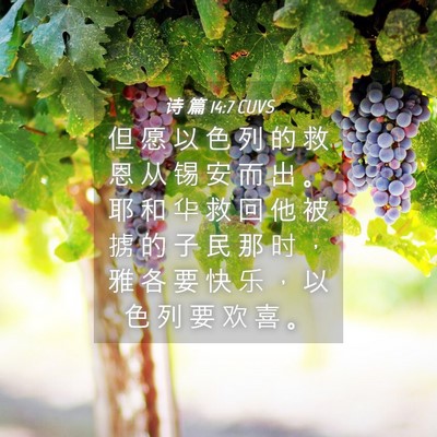 Picture 04 - 诗 篇 14:7 CUVS - 但 愿 以 色 列 的 救 恩 从 锡 安 而 - Bible Verse Picture