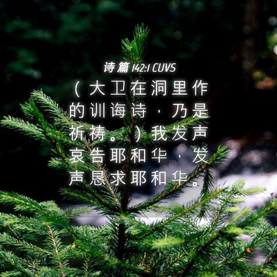 Picture 04 - 诗 篇 142:1 CUVS - （ 大 卫 在 洞 里 作 的 训 诲 诗 ， - Bible Verse Picture
