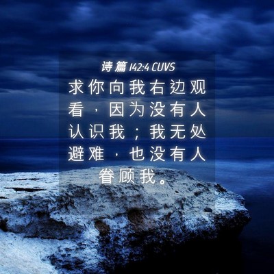 Picture 04 - 诗 篇 142:4 CUVS - 求 你 向 我 右 边 观 看 ， 因 为 没 - Bible Verse Picture