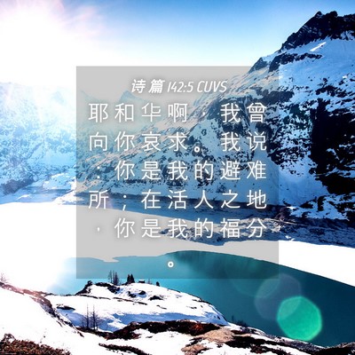 Picture 04 - 诗 篇 142:5 CUVS - 耶 和 华 啊 ， 我 曾 向 你 哀 求 。 - Bible Verse Picture