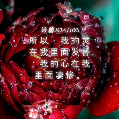 Picture 04 - 诗 篇 143:4 CUVS - 所 以 ， 我 的 灵 在 我 里 面 发 昏 - Bible Verse Picture