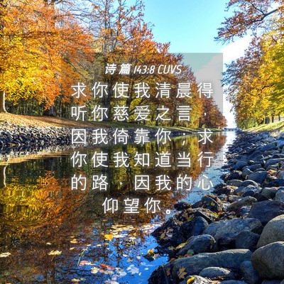 Picture 04 - 诗 篇 143:8 CUVS - 求 你 使 我 清 晨 得 听 你 慈 爱 之 - Bible Verse Picture