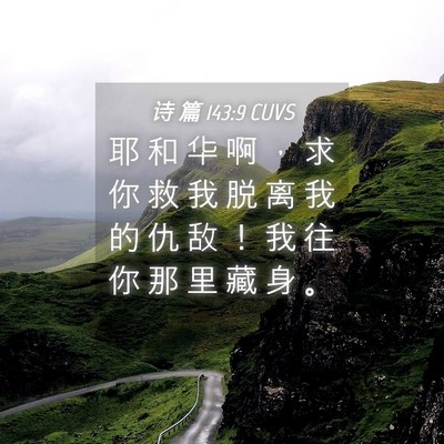 Picture 04 - 诗 篇 143:9 CUVS - 耶 和 华 啊 ， 求 你 救 我 脱 离 我 - Bible Verse Picture