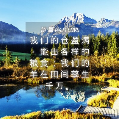 Picture 04 - 诗 篇 144:13 CUVS - 我 们 的 仓 盈 满 ， 能 出 各 样 的 - Bible Verse Picture