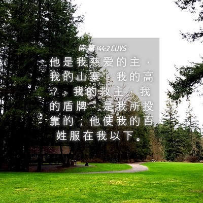 Picture 04 - 诗 篇 144:2 CUVS - 他 是 我 慈 爱 的 主 ， 我 的 山 寨 - Bible Verse Picture