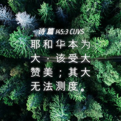 Picture 04 - 诗 篇 145:3 CUVS - 耶 和 华 本 为 大 ， 该 受 大 赞 美 - Bible Verse Picture