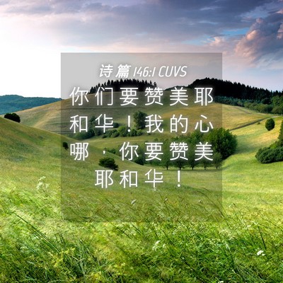Picture 04 - 诗 篇 146:1 CUVS - 你 们 要 赞 美 耶 和 华 ！ 我 的 心 - Bible Verse Picture