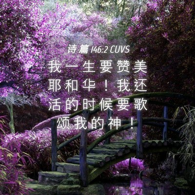 Picture 04 - 诗 篇 146:2 CUVS - 我 一 生 要 赞 美 耶 和 华 ！ 我 还 - Bible Verse Picture