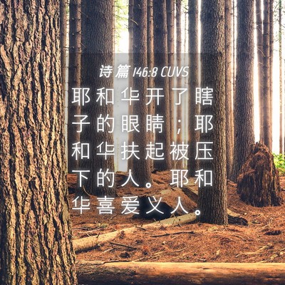 Picture 04 - 诗 篇 146:8 CUVS - 耶 和 华 开 了 瞎 子 的 眼 睛 ； 耶 - Bible Verse Picture