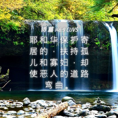 Picture 04 - 诗 篇 146:9 CUVS - 耶 和 华 保 护 寄 居 的 ， 扶 持 孤 - Bible Verse Picture