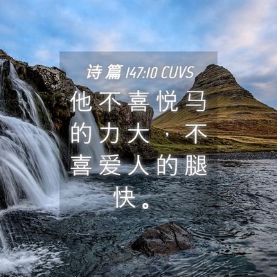 Picture 04 - 诗 篇 147:10 CUVS - 他 不 喜 悦 马 的 力 大 ， 不 喜 爱 - Bible Verse Picture