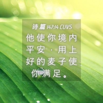 Picture 04 - 诗 篇 147:14 CUVS - 他 使 你 境 内 平 安 ， 用 上 好 的 - Bible Verse Picture
