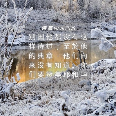 Picture 04 - 诗 篇 147:20 CUVS - 别 国 他 都 没 有 这 样 待 过 ； 至 - Bible Verse Picture
