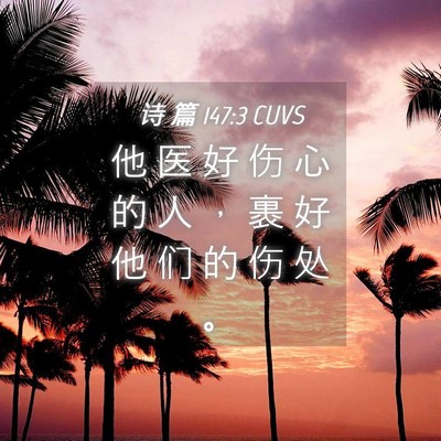 Picture 04 - 诗 篇 147:3 CUVS - 他 医 好 伤 心 的 人 ， 裹 好 他 们 - Bible Verse Picture
