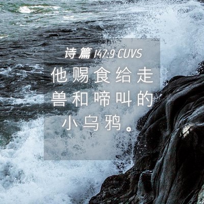 Picture 04 - 诗 篇 147:9 CUVS - 他 赐 食 给 走 兽 和 啼 叫 的 小 乌 - Bible Verse Picture
