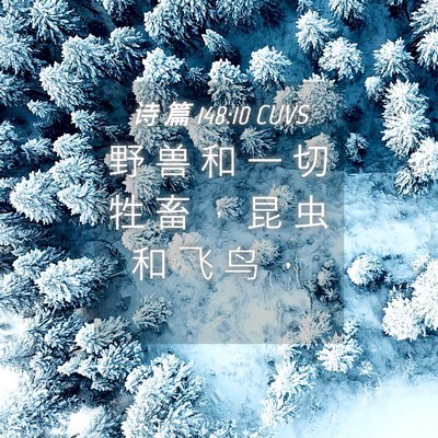 Picture 04 - 诗 篇 148:10 CUVS - 野 兽 和 一 切 牲 畜 ， 昆 虫 和 飞 - Bible Verse Picture