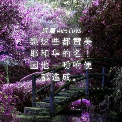 Picture 04 - 诗 篇 148:5 CUVS - 愿 这 些 都 赞 美 耶 和 华 的 名 ！ - Bible Verse Picture