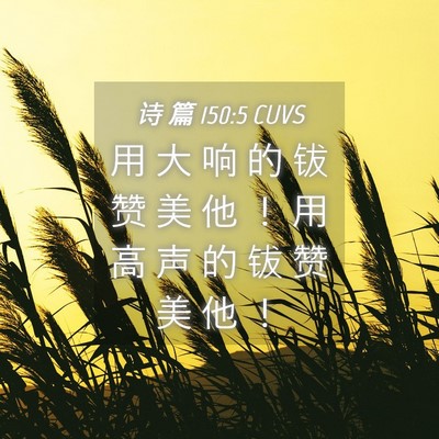 Picture 04 - 诗 篇 150:5 CUVS - 用 大 响 的 钹 赞 美 他 ！ 用 高 声 - Bible Verse Picture