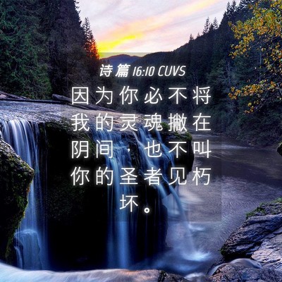 Picture 04 - 诗 篇 16:10 CUVS - 因 为 你 必 不 将 我 的 灵 魂 撇 在 - Bible Verse Picture