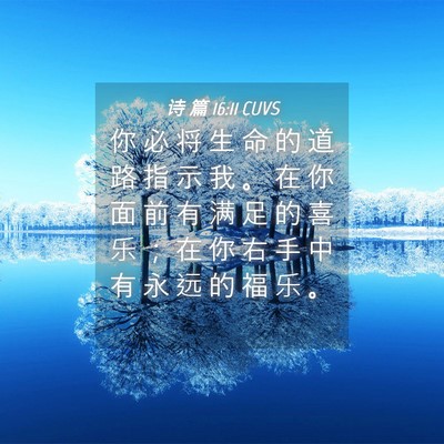 Picture 04 - 诗 篇 16:11 CUVS - 你 必 将 生 命 的 道 路 指 示 我 。 - Bible Verse Picture