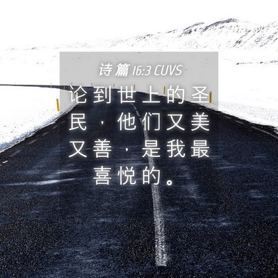 Picture 04 - 诗 篇 16:3 CUVS - 论 到 世 上 的 圣 民 ， 他 们 又 美 - Bible Verse Picture