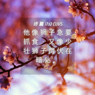 Picture 04 - 诗 篇 17:12 CUVS - 他 像 狮 子 急 要 抓 食 ， 又 像 少 - Bible Verse Picture
