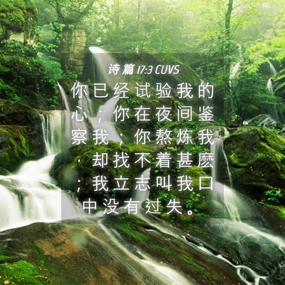 Picture 04 - 诗 篇 17:3 CUVS - 你 已 经 试 验 我 的 心 ； 你 在 夜 - Bible Verse Picture