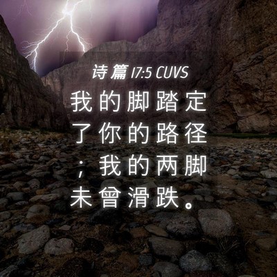 Picture 04 - 诗 篇 17:5 CUVS - 我 的 脚 踏 定 了 你 的 路 径 ； 我 - Bible Verse Picture