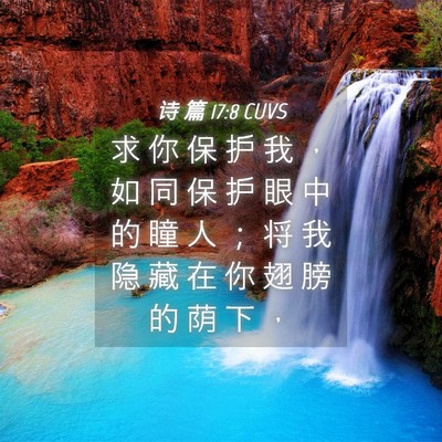 Picture 04 - 诗 篇 17:8 CUVS - 求 你 保 护 我 ， 如 同 保 护 眼 中 - Bible Verse Picture