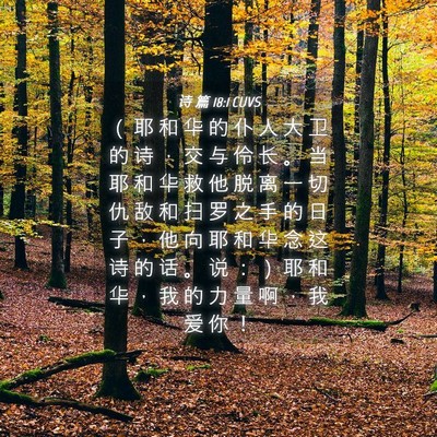 Picture 04 - 诗 篇 18:1 CUVS - （ 耶 和 华 的 仆 人 大 卫 的 诗 ， - Bible Verse Picture