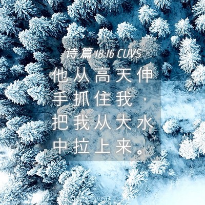 Picture 04 - 诗 篇 18:16 CUVS - 他 从 高 天 伸 手 抓 住 我 ， 把 我 - Bible Verse Picture