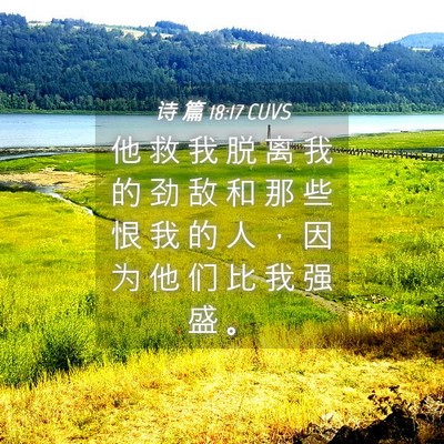 Picture 04 - 诗 篇 18:17 CUVS - 他 救 我 脱 离 我 的 劲 敌 和 那 些 - Bible Verse Picture