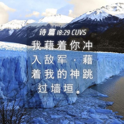 Picture 04 - 诗 篇 18:29 CUVS - 我 藉 着 你 冲 入 敌 军 ， 藉 着 我 - Bible Verse Picture