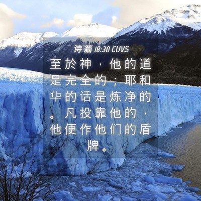 Picture 04 - 诗 篇 18:30 CUVS - 至 於 神 ， 他 的 道 是 完 全 的 ； - Bible Verse Picture