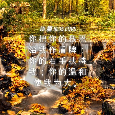 Picture 04 - 诗 篇 18:35 CUVS - 你 把 你 的 救 恩 给 我 作 盾 牌 ； - Bible Verse Picture