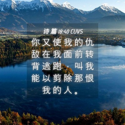 Picture 04 - 诗 篇 18:40 CUVS - 你 又 使 我 的 仇 敌 在 我 面 前 转 - Bible Verse Picture