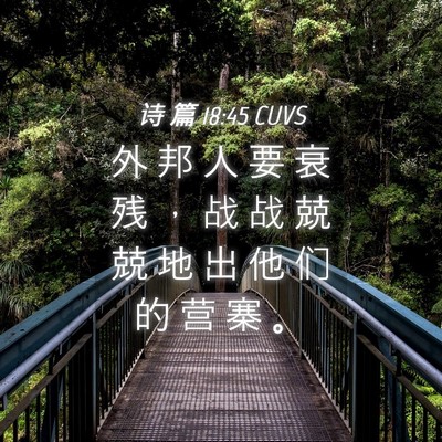 Picture 04 - 诗 篇 18:45 CUVS - 外 邦 人 要 衰 残 ， 战 战 兢 兢 地 - Bible Verse Picture