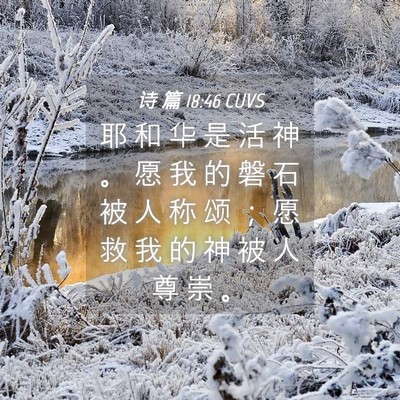 Picture 04 - 诗 篇 18:46 CUVS - 耶 和 华 是 活 神 。 愿 我 的 磐 石 - Bible Verse Picture