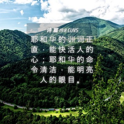 Picture 04 - 诗 篇 19:8 CUVS - 耶 和 华 的 训 词 正 直 ， 能 快 活 - Bible Verse Picture