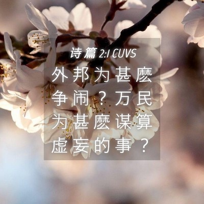 Picture 04 - 诗 篇 2:1 CUVS - 外 邦 为 甚 麽 争 闹 ？ 万 民 为 甚 - Bible Verse Picture