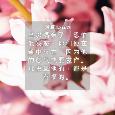 Picture 04 - 诗 篇 2:12 CUVS - 当 以 嘴 亲 子 ， 恐 怕 他 发 怒 ， - Bible Verse Picture