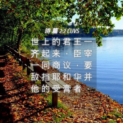 Picture 04 - 诗 篇 2:2 CUVS - 世 上 的 君 王 一 齐 起 来 ， 臣 宰 - Bible Verse Picture