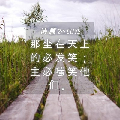 Picture 04 - 诗 篇 2:4 CUVS - 那 坐 在 天 上 的 必 发 笑 ； 主 必 - Bible Verse Picture