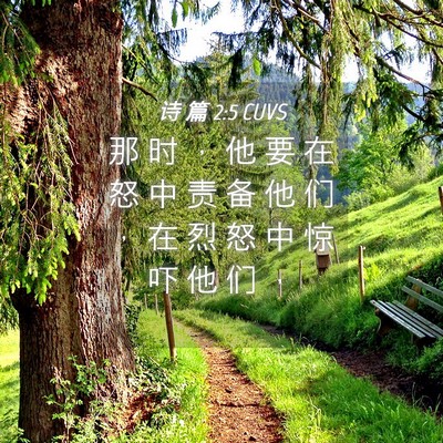 Picture 04 - 诗 篇 2:5 CUVS - 那 时 ， 他 要 在 怒 中 责 备 他 们 - Bible Verse Picture