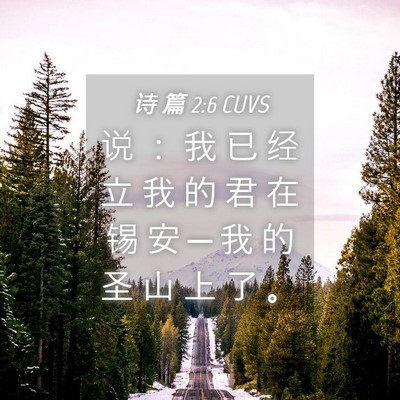 Picture 04 - 诗 篇 2:6 CUVS - 说 ： 我 已 经 立 我 的 君 在 锡 安 - Bible Verse Picture